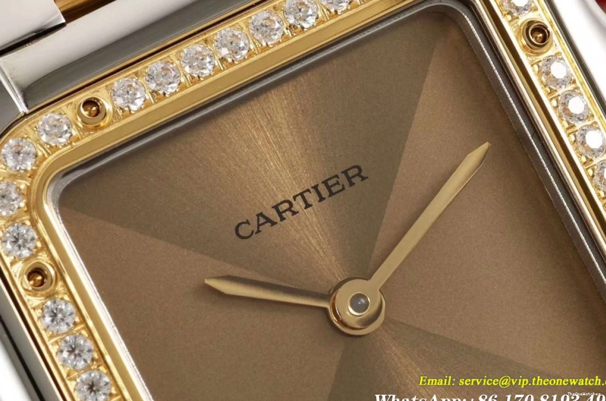 Ladies Quartz Panthere Secrete Dia De Gold SS Dial Brown AF 27mm YG 0103